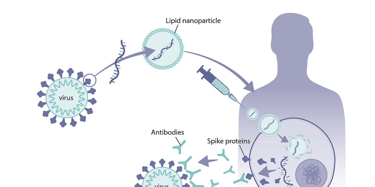 stemplet74.substack.com
