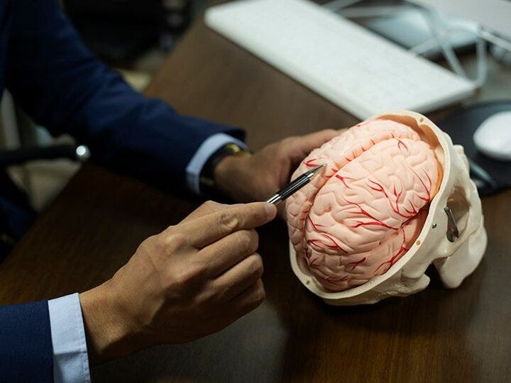 Iran Develops Artificial Brain Technology, Sets Sights on Commercialization
