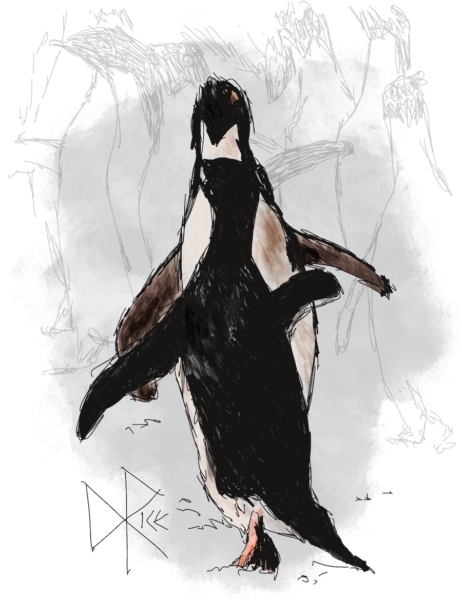 Two penguins face-to-face as they communicate with each other while milling about in their crowd. Sketch art by Don Rice.