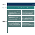 Foundation Series: Strategic Risk
