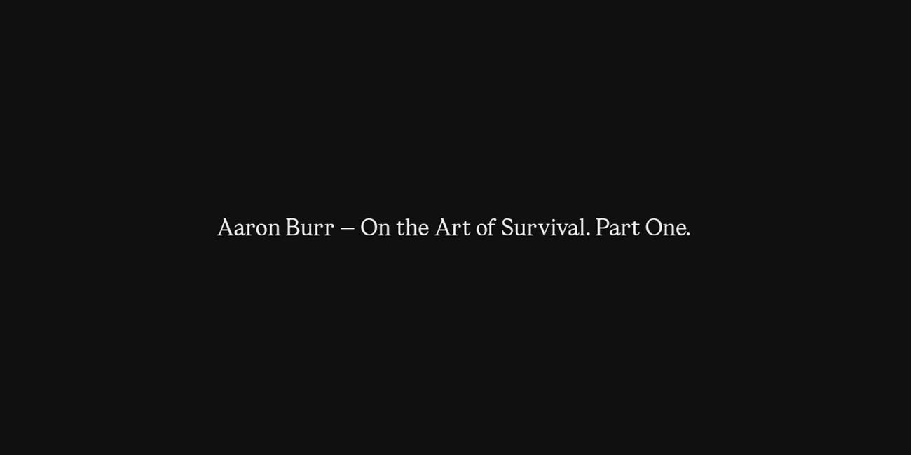My reading of Arron Burr—On the Art of Survival