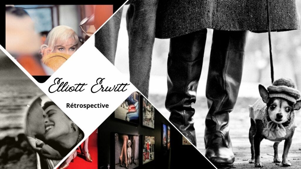 Elliott Erwitt, une rétrospective