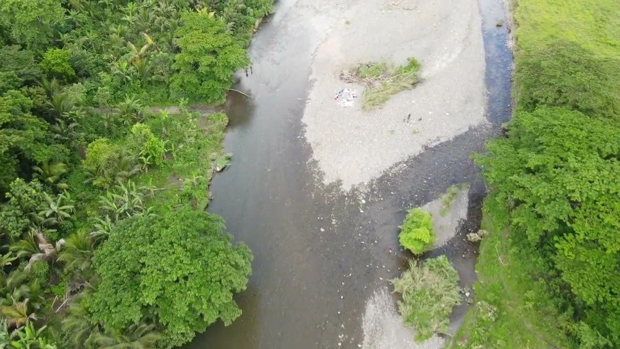 Plantain Garden River