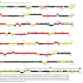 Myxoma 'Virus' Deep Dive as a Specific Example of the Deception