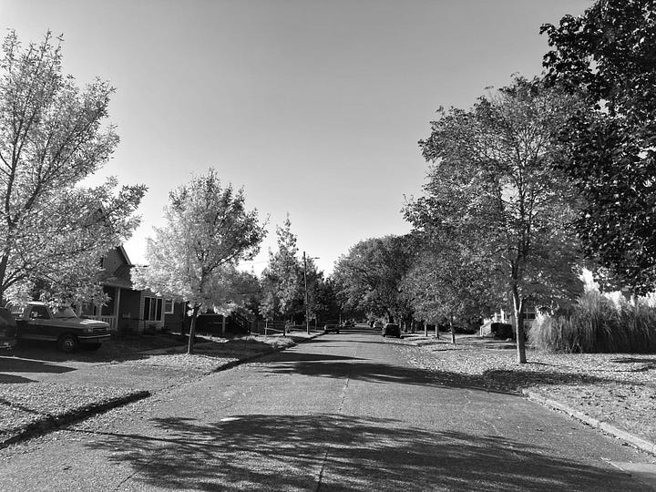 fall black and white photos