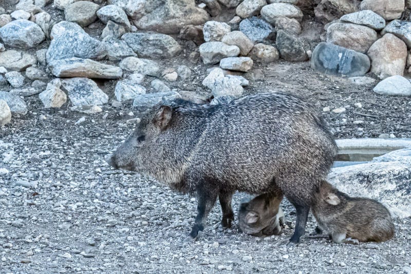 20251203-misc-90-Edit.jpg 20251203-misc-90-Edit.jpg