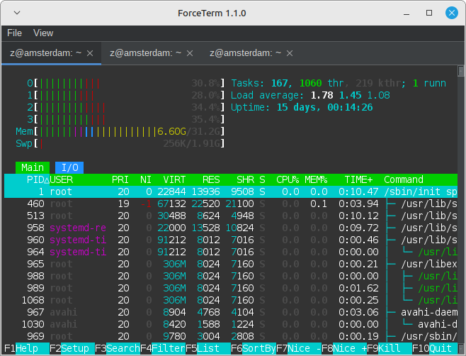 Screenshot showing forceterm in dark mode