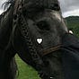 تبارك's avatar