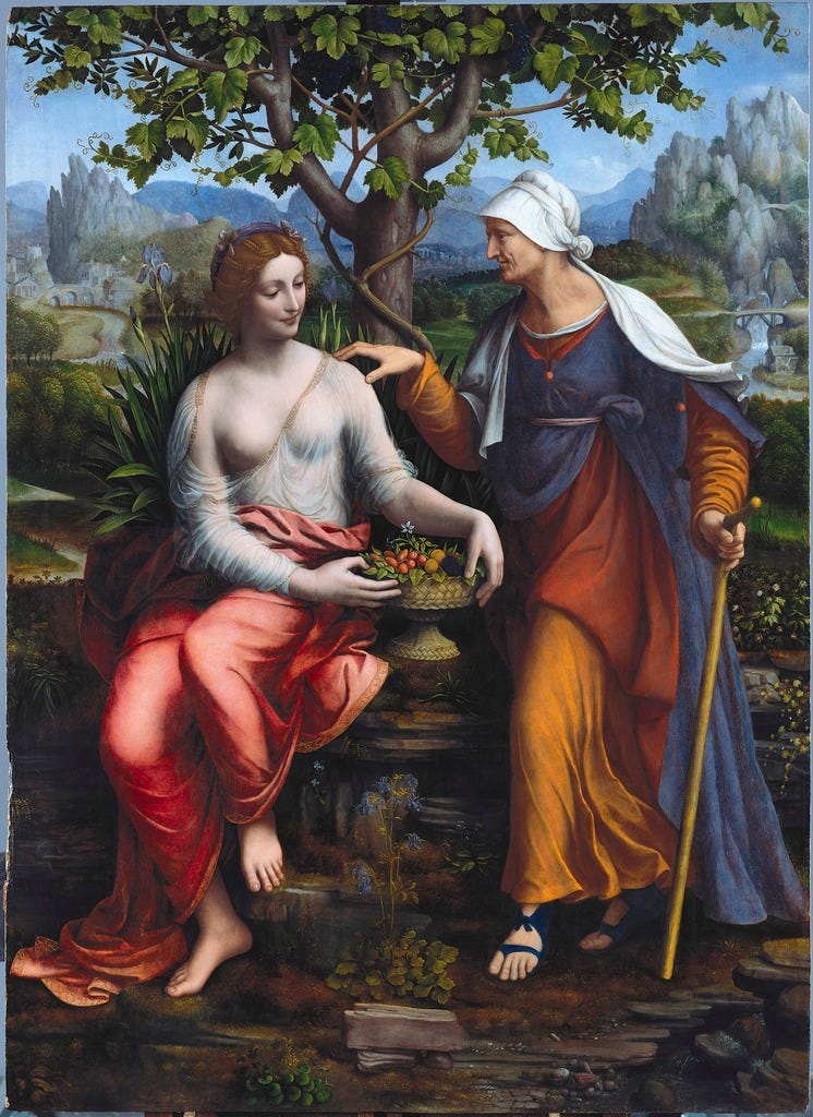 Vertumnus and Pomona by Francesco Melzi Vertumnus and Pomona by Francesco Melzi