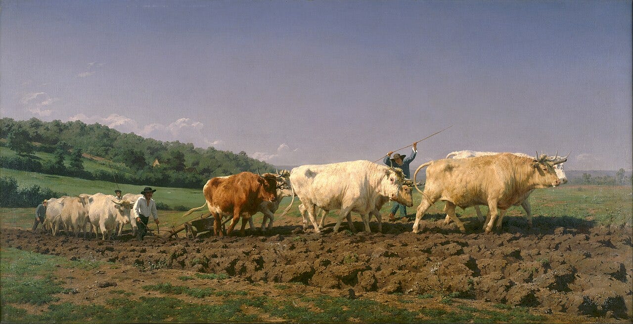 Rosa Bonheur, Ploughing in the Nivernais, oxen ploughing a field