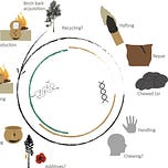 Anthropology.net