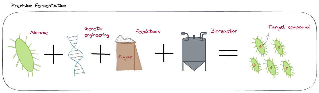 No alt text provided for this image