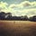 Country Rambling
