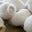 Stella Pusino's avatar