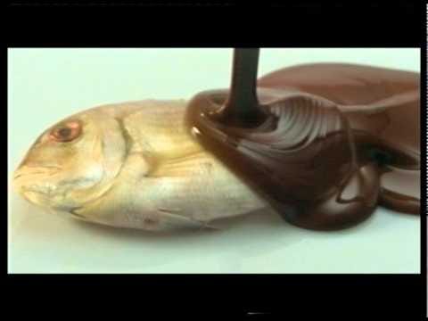 chocolatefish chocolatefish