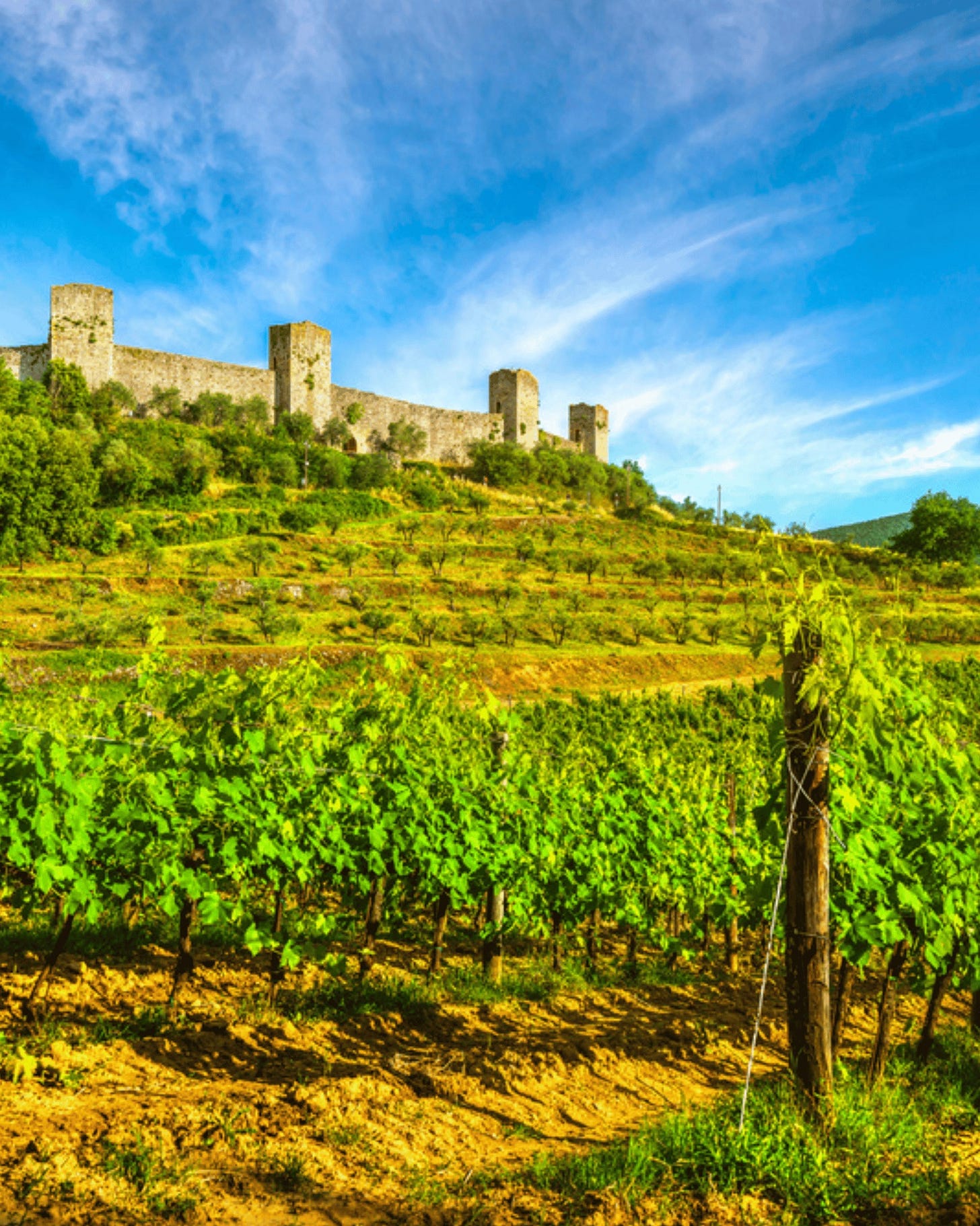 May be an image of castle