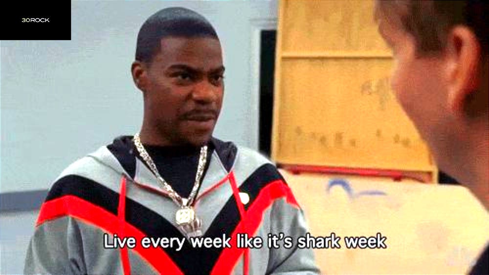 Basecamp Briefing: Shark Week 2026 🦈