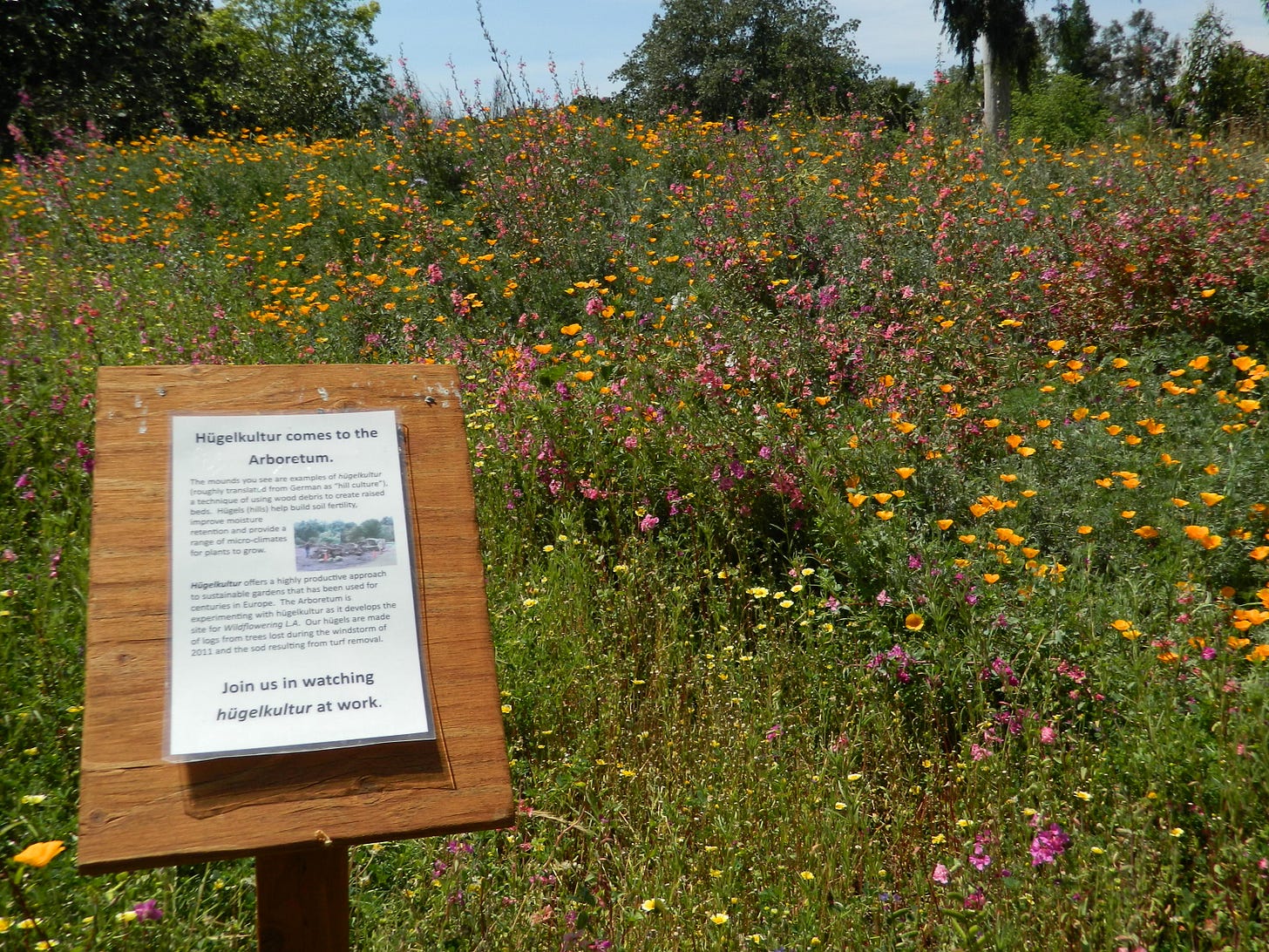 File:Hugelkultur arboretum.jpg - Wikimedia Commons