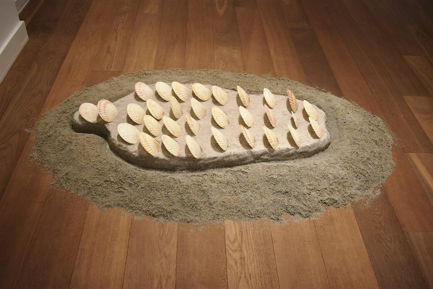 A silhouette of a torso on sand. There are rows of sand dollars tucked into the sand, welcoming the would-be wave. A silhouette of a torso on sand. There are rows of sand dollars tucked into the sand, welcoming the would-be wave.