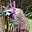 ElderlyLoudCatWomyn's avatar