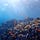 A Love Letter to the Oceans