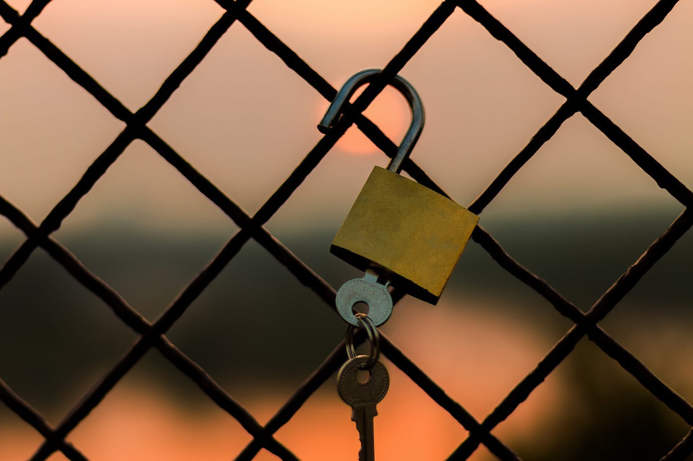 Article content Article content