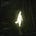 Rofida's avatar