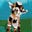 j4ntyfo55's avatar