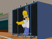 election special elections GIF by Our Cartoon President