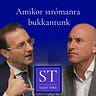 Saját Tőke