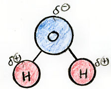 Water is an Example of a  Polar Molecule.