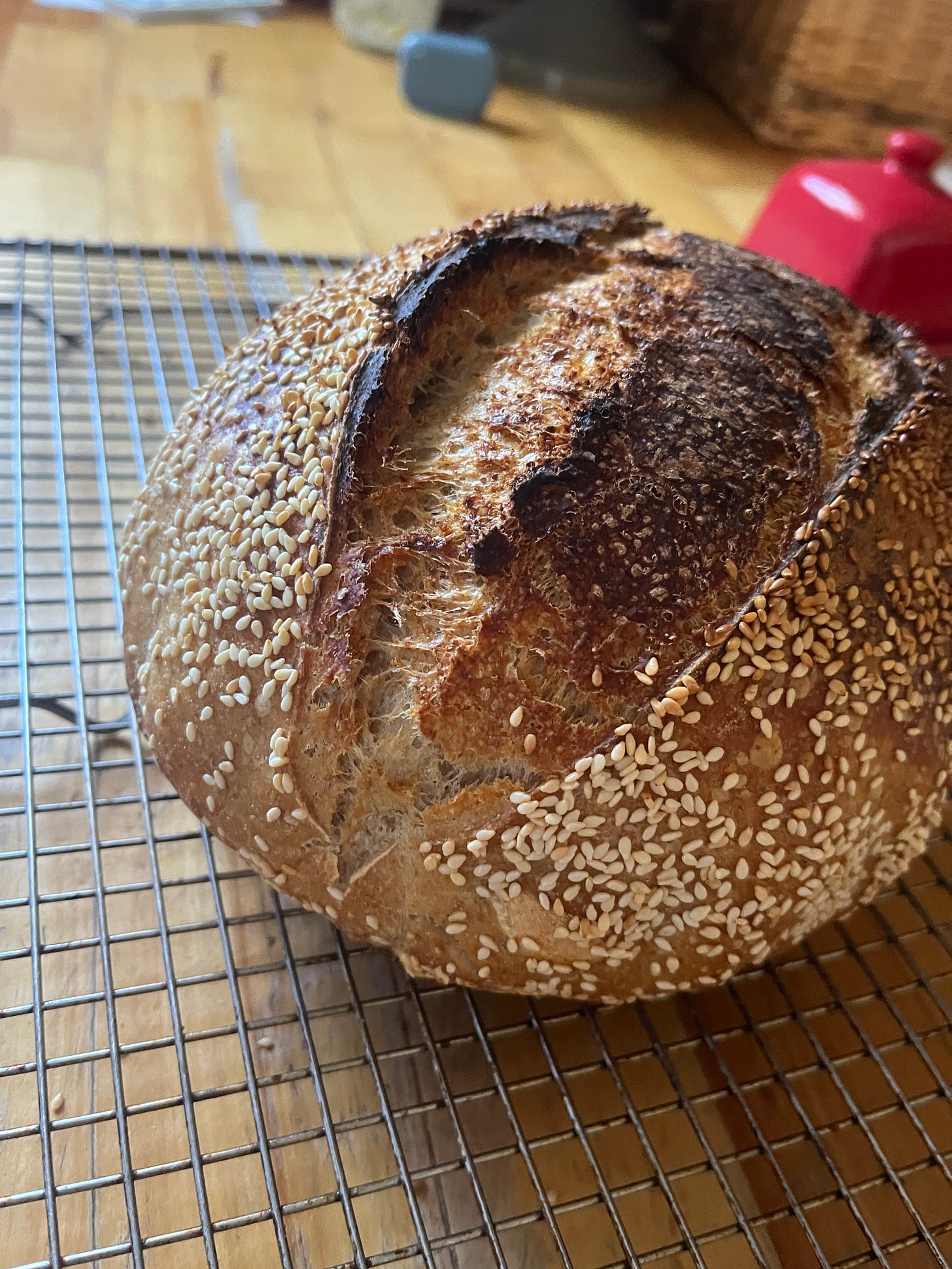 A round loaf of sourdough, covered in sesame seeds with a wide cut up the middle. A round loaf of sourdough, covered in sesame seeds with a wide cut up the middle.