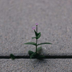 Overcoming the Self-Stigma of Mental Illness (Part 1)