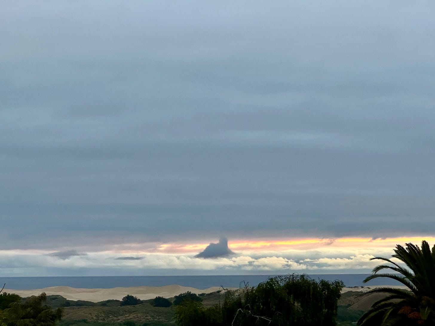A wide landscape view of a coastline under a heavy, dark grey sky. A thin strip of fiery orange and pink sunset light breaks just above the ocean horizon, silhouetting a strange, mountain-like cloud formation in the center. Light-colored sand dunes and dark coastal vegetation sit below, framed by the dark silhouette of a palm tree on the right edge.