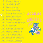 People are into the Atlanta Hawks