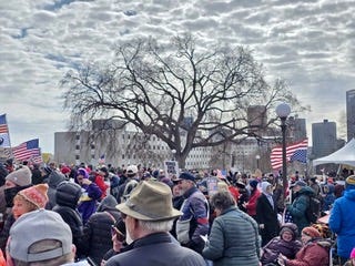 From top left: a woman dressed as a sufragette with an upside-down American flag on her hat holds a sign that reads "Unpaid Protester since 1848." A shot of a huge crowd under a bare tree. Two protesters hold signs reading "Time for Some Pretti Good Trouble" and "Health Care For all = Freedom." Another shot of a huge crowd.