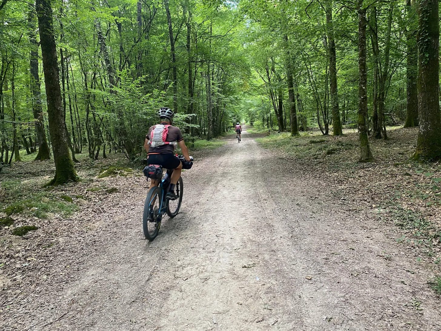 Forêt d’Amboise