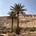 Datepalm Discourses's avatar
