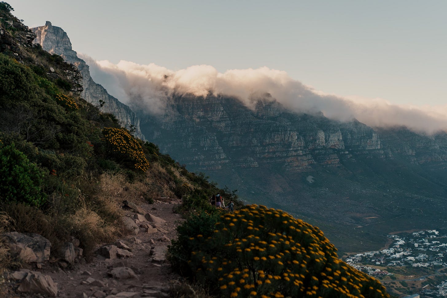 Morning light behind the 12 Apostles from a hikin trail in Cape Town, South Africa