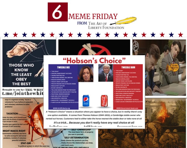 Fivememefri - Largest Vaxxed vs. Unvaxxed Study Ever...453% More Neurodevelopmental Issues