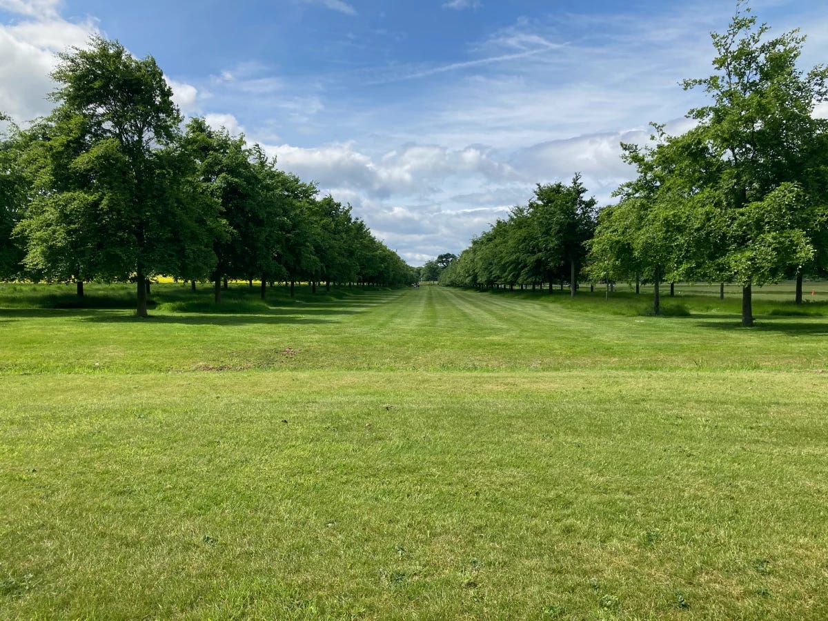 path between trees - goal theory