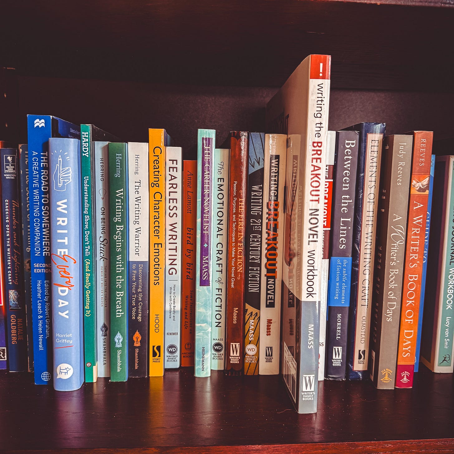 24 books on writing sit on a brown bookshelf. Some of the authors include Natalie Goldberg, Donald Maass, Anne Lamott, and William Kenower.