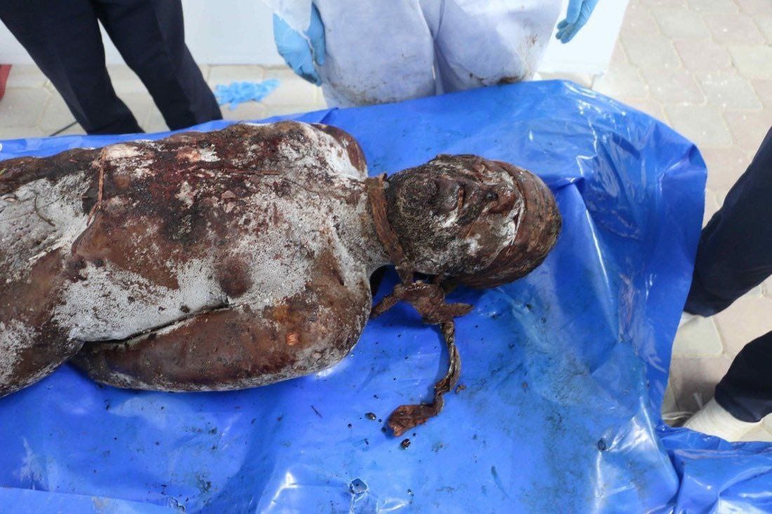 This is what Israel is doing to the bodies of dead Palestinian hostages - Palestine Will Be Free