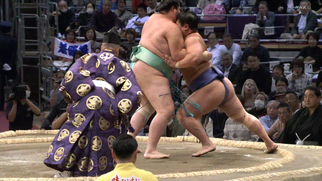 Sumo Stomp! | Tim Bissell | Substack
