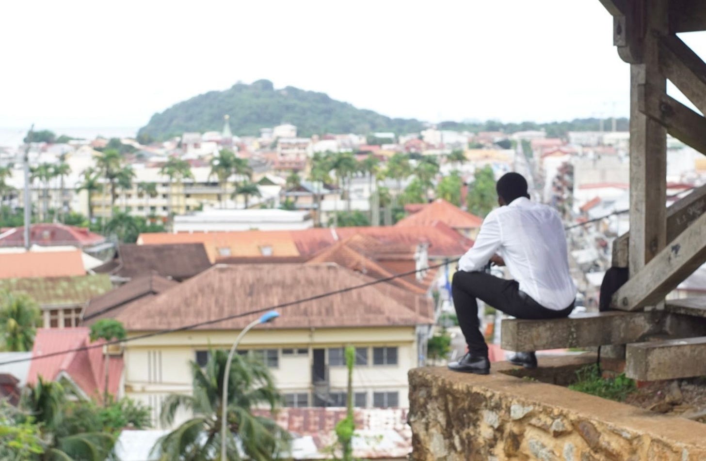 Sortir de la jungle Sortir de la jungle