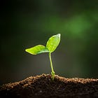 The Master Soil-Tiller