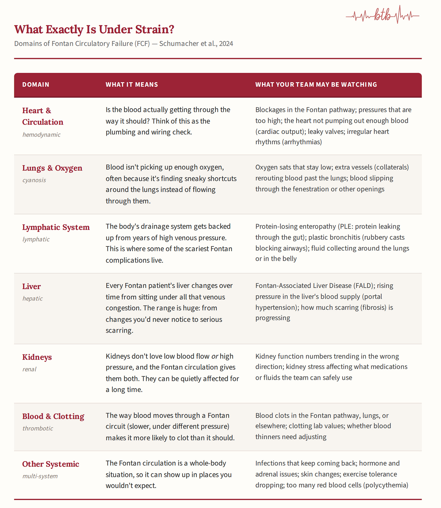 Table: "What Exactly Is Under Strain?" — Seven domains of Fontan Circulatory Failure (FCF) as defined by Schumacher et al., 2024. Domains include Heart and Circulation (hemodynamic), Lungs and Oxygen (cyanosis), Lymphatic System, Liver (hepatic), Kidneys (renal), Blood and Clotting (thrombotic), and Other Systemic. For each domain, the table explains what it means in plain language and what a care team may be watching for. Source: Journal of Cardiac Failure, Vol. 30, No. 12. Table presented for article on Failing Fontan. Written by Marie-Jo Herard for Between the Beats Substack.