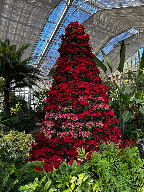 pictures from the birmingham botanical gardens