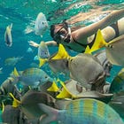 Everything She Never Had // Chapter 5