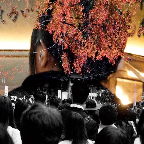 Cover art for Constancy to an Ideal Object by Endling